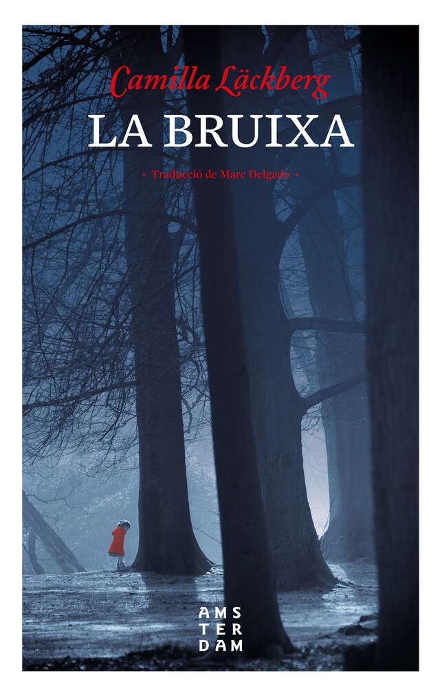 Book cover for La bruixa
