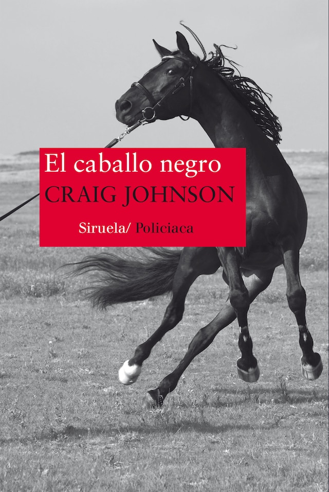 Buchcover für El caballo negro