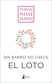 Sin barro no crece el loto