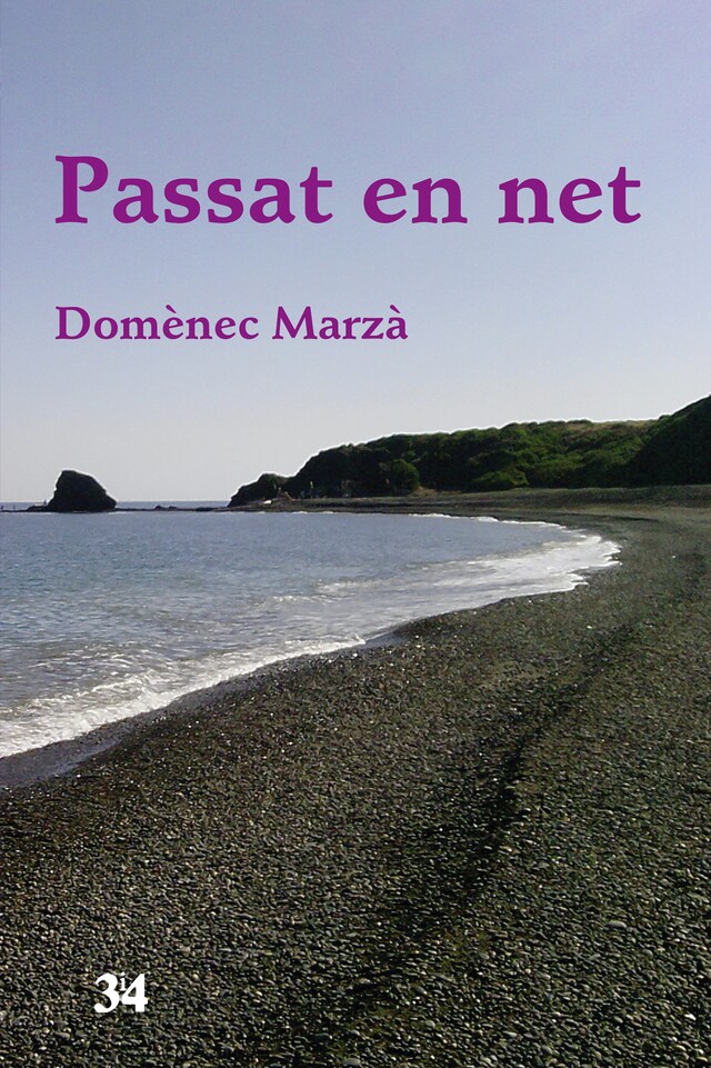 Book cover for Passat en net