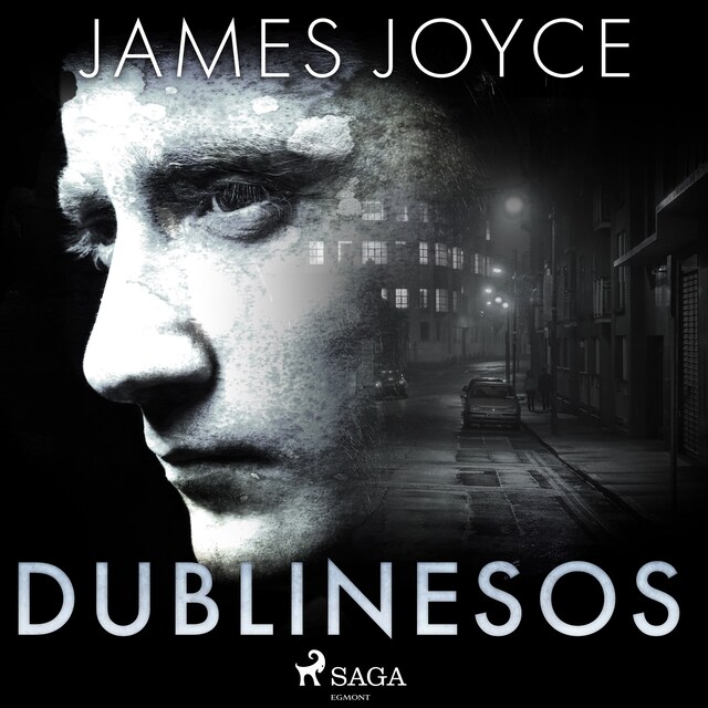 Book cover for Dublinesos