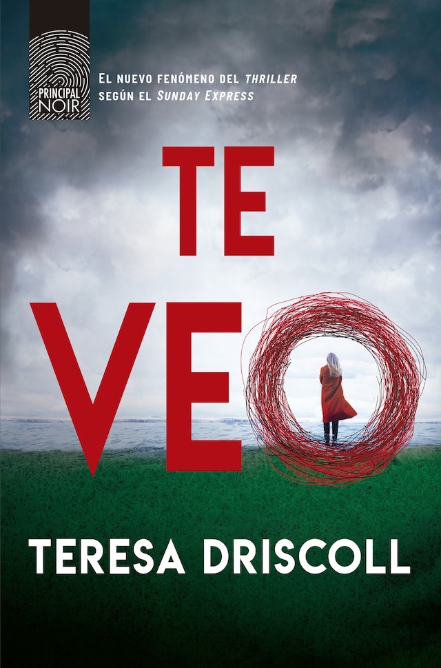 Book cover for Te veo