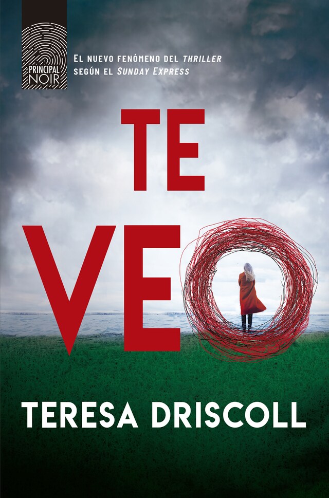 Book cover for Te veo