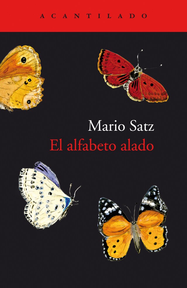 Book cover for El alfabeto alado