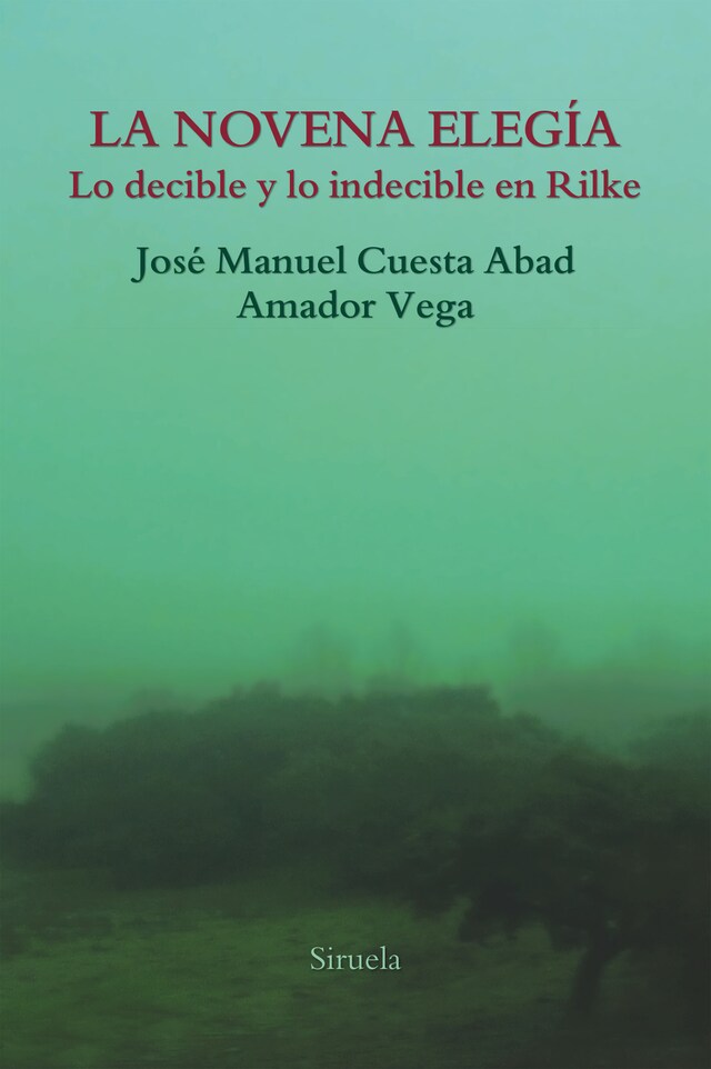 Book cover for La novena elegía