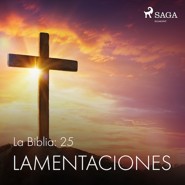 Book cover for La Biblia: 25 Lamentaciones