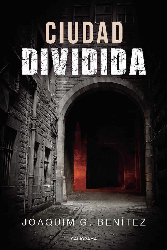 Couverture de livre pour Ciudad dividida