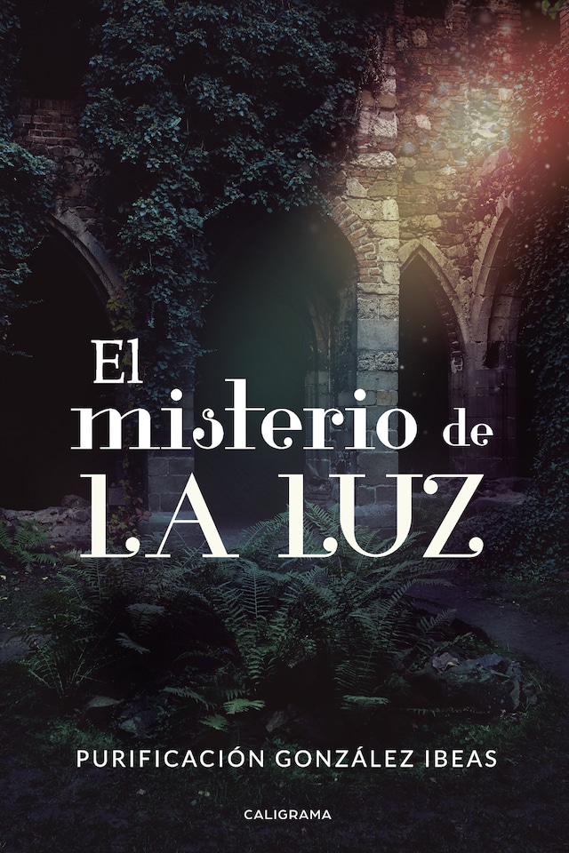 Book cover for El misterio de La Luz