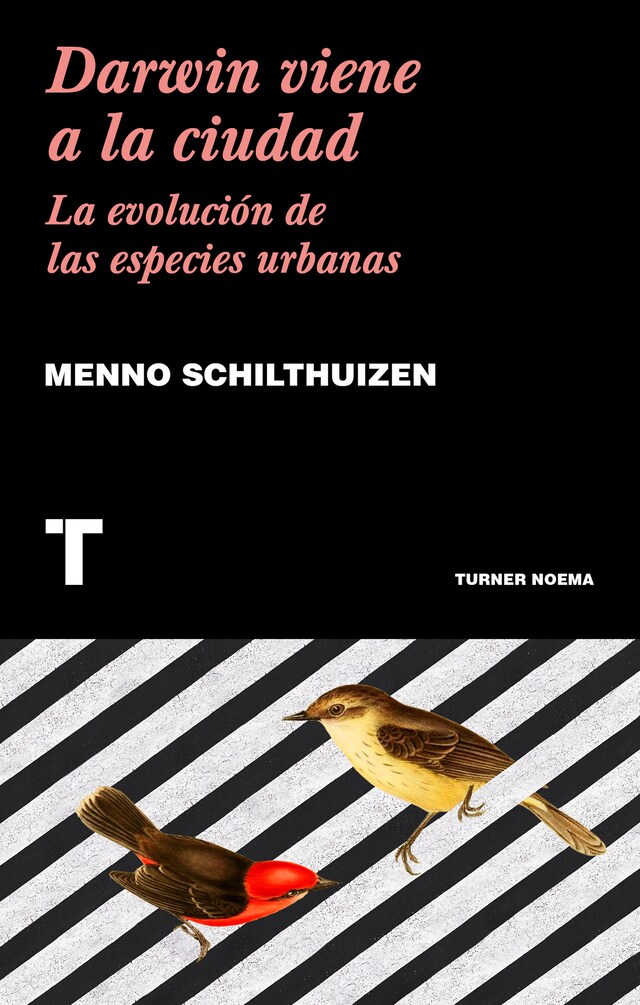 Book cover for Darwin viene a la ciudad