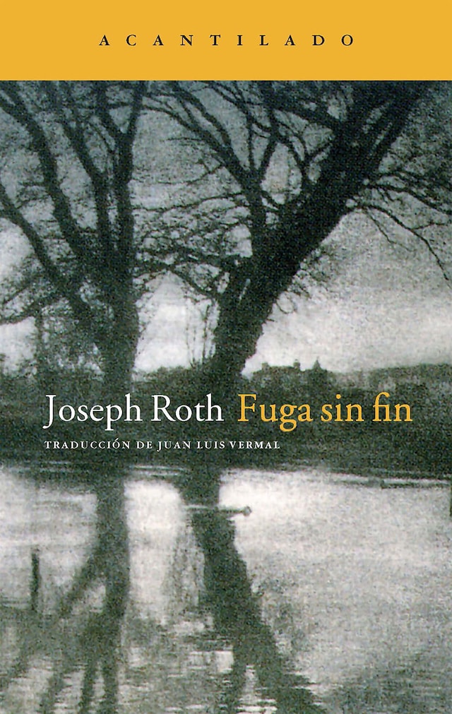 Book cover for Fuga sin fin