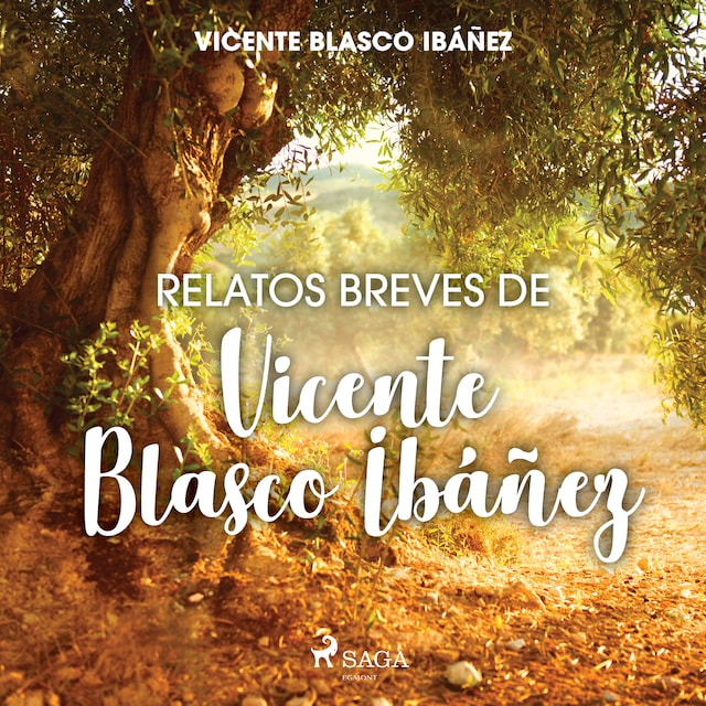 Book cover for Relatos breves de Vicente Blasco Ibáñez