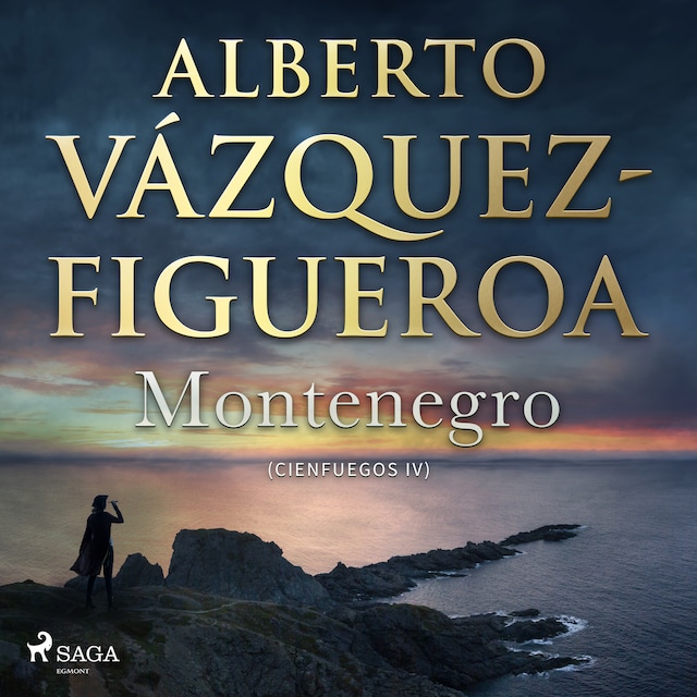 Book cover for Montenegro
