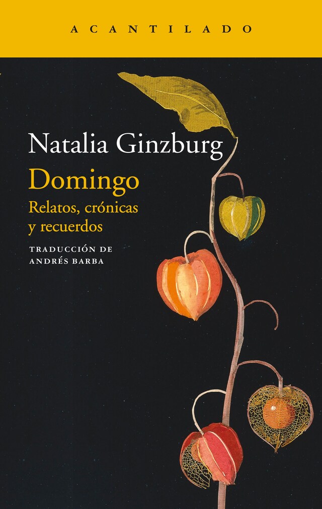 Book cover for Domingo