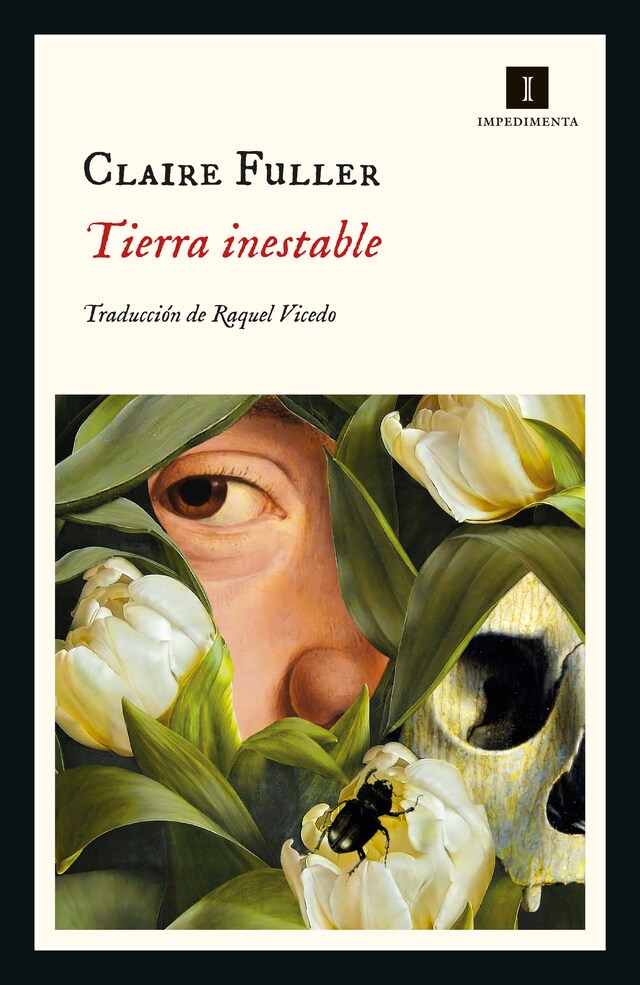 Book cover for Tierra inestable
