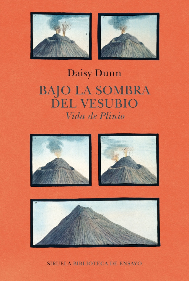 Book cover for Bajo la sombra del Vesubio