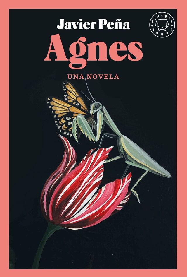 Book cover for Agnes