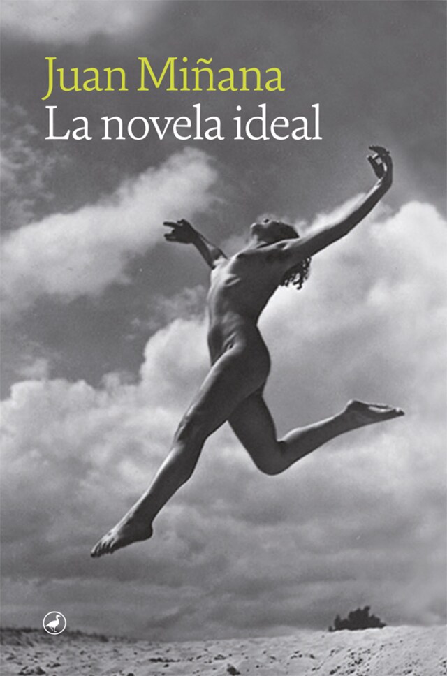 Book cover for La novela ideal