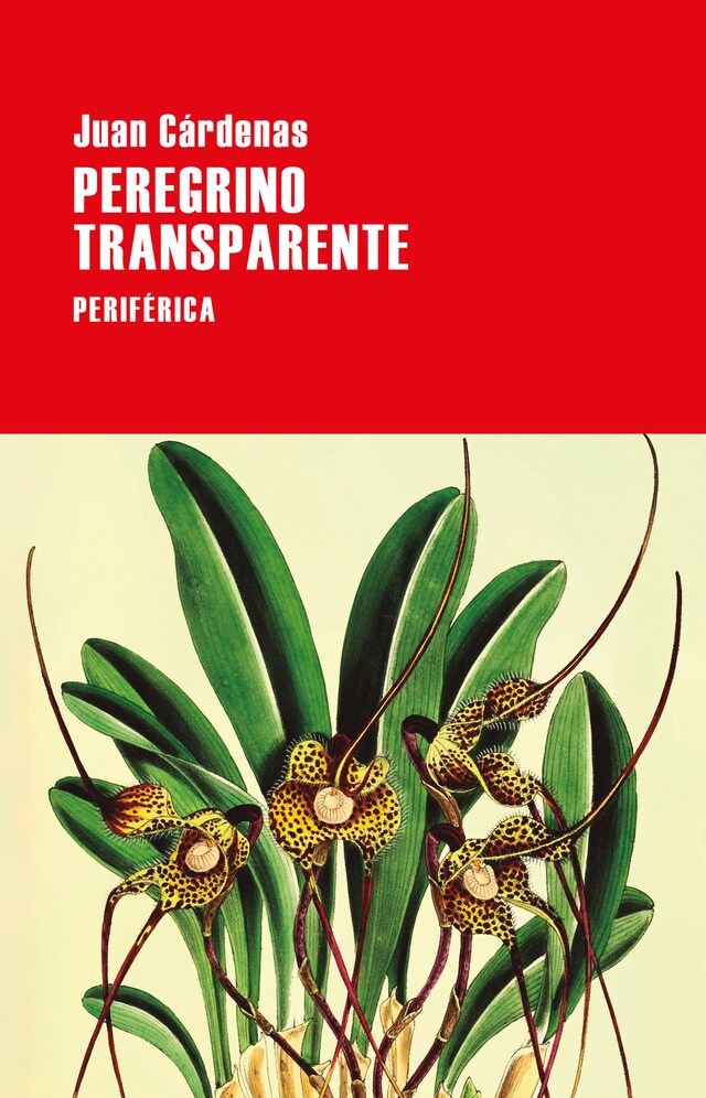 Buchcover für Peregrino transparente
