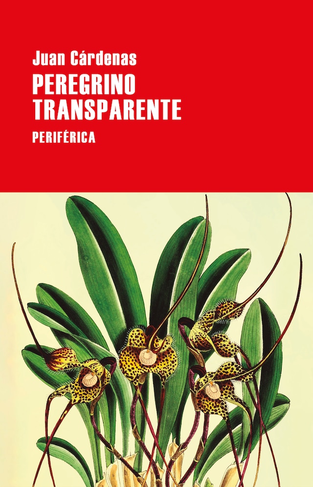 Couverture de livre pour Peregrino transparente