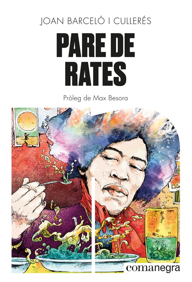 Book cover for Pare de rates