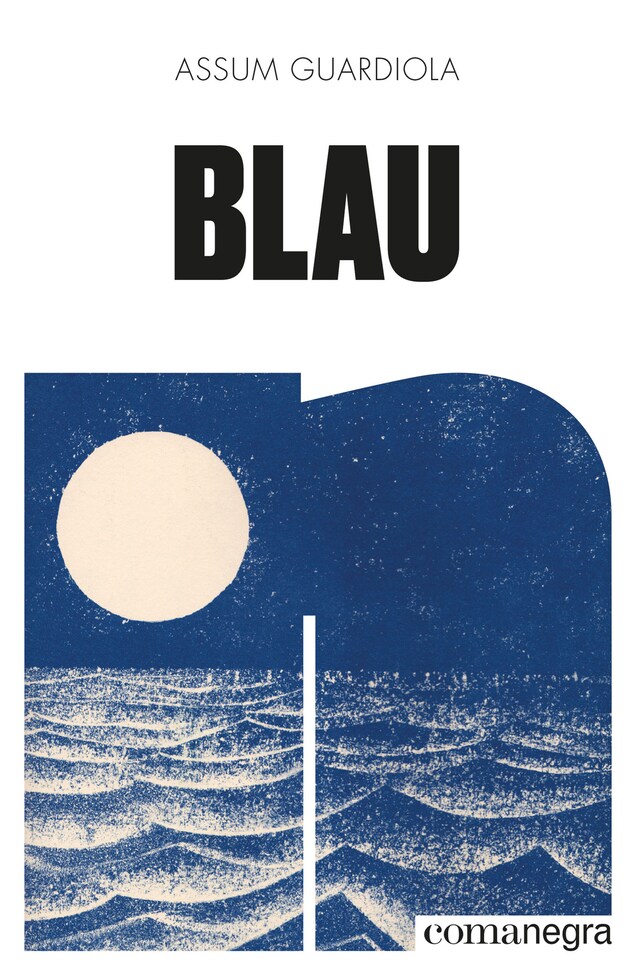 Book cover for Blau