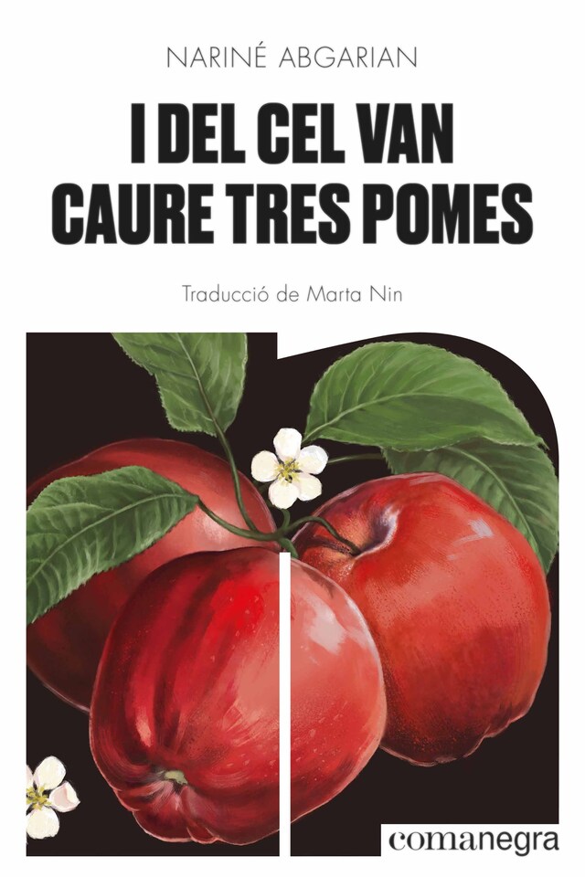 Book cover for I del cel van caure tres pomes