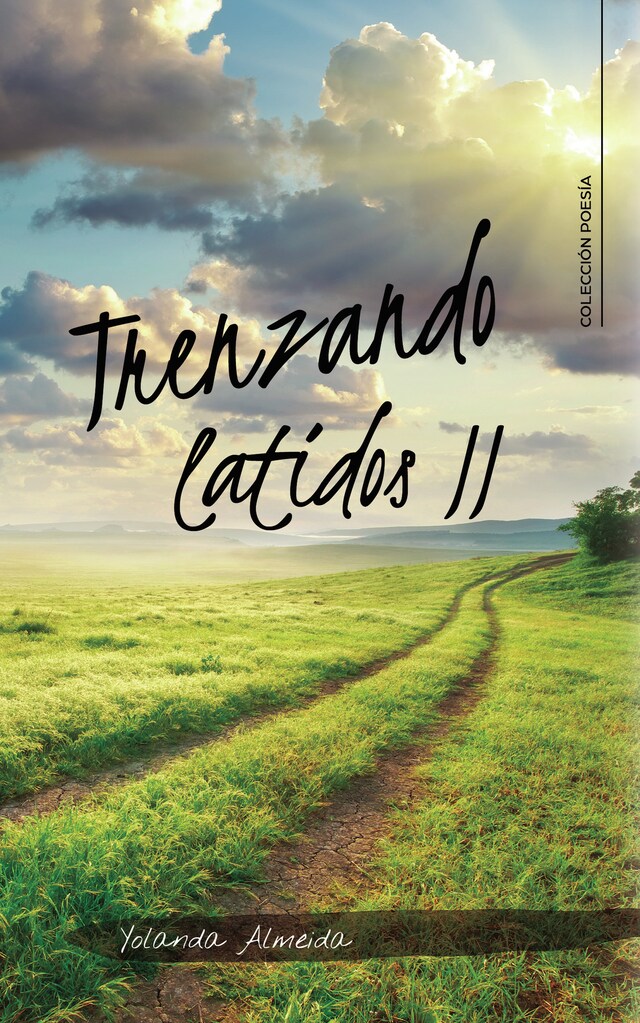 Copertina del libro per Trenzando latidos II