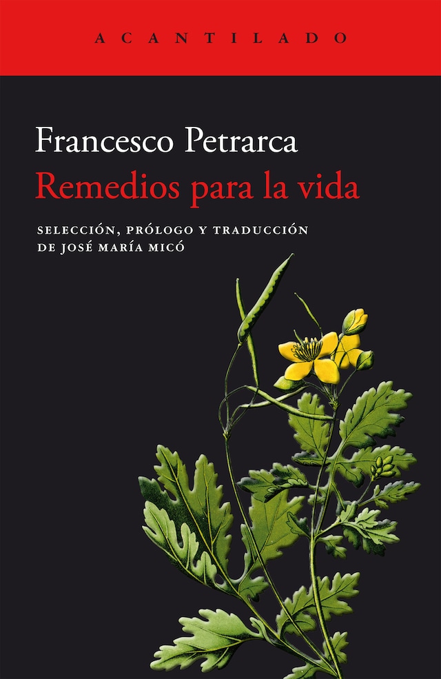 Book cover for Remedios para la vida