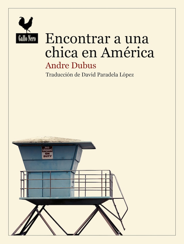 Okładka książki dla Encontrar a una chica en América