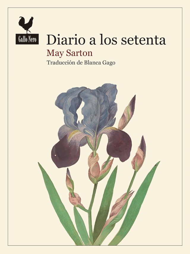 Book cover for Diario a los setenta