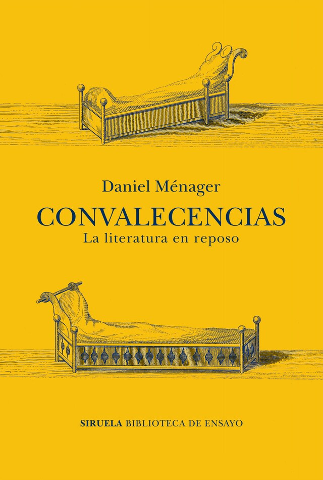 Book cover for Convalecencias
