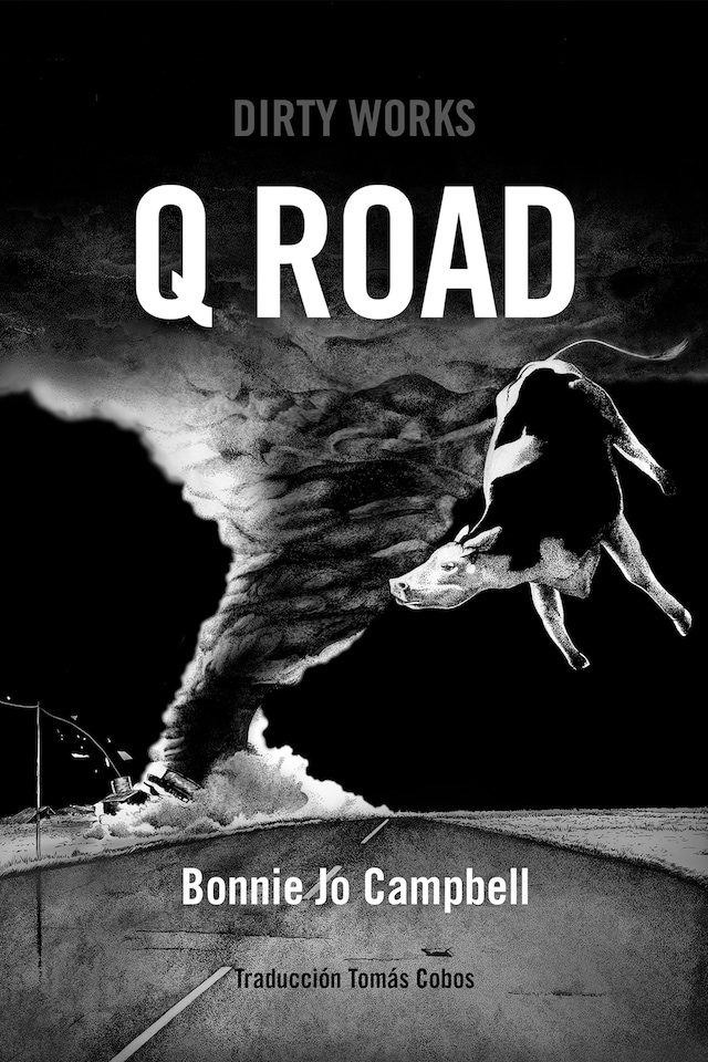 Buchcover für Q Road