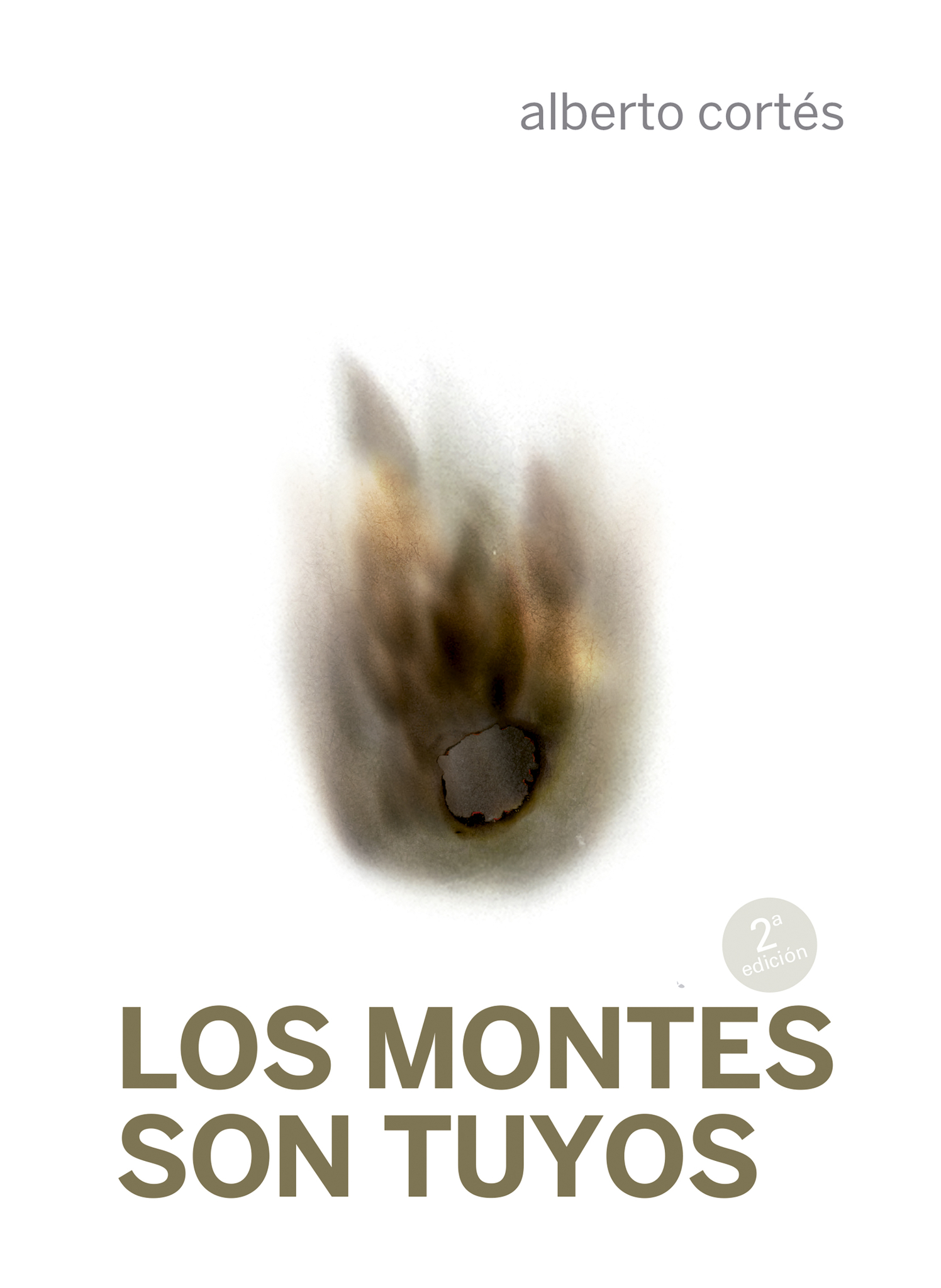 Bokomslag for Los montes son tuyos