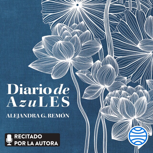 Book cover for Diario de AzuLES