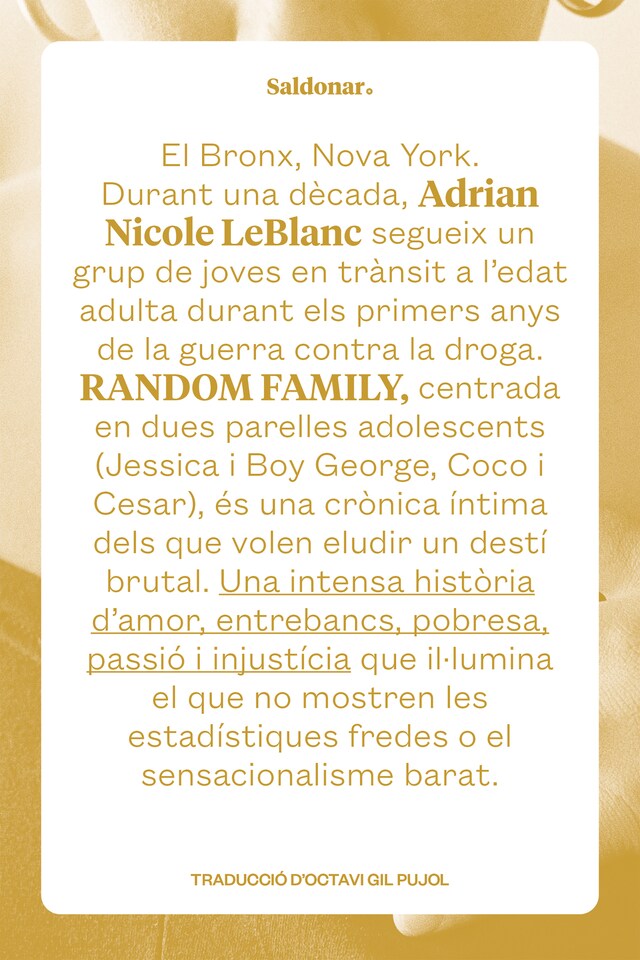 Portada de libro para Random Family