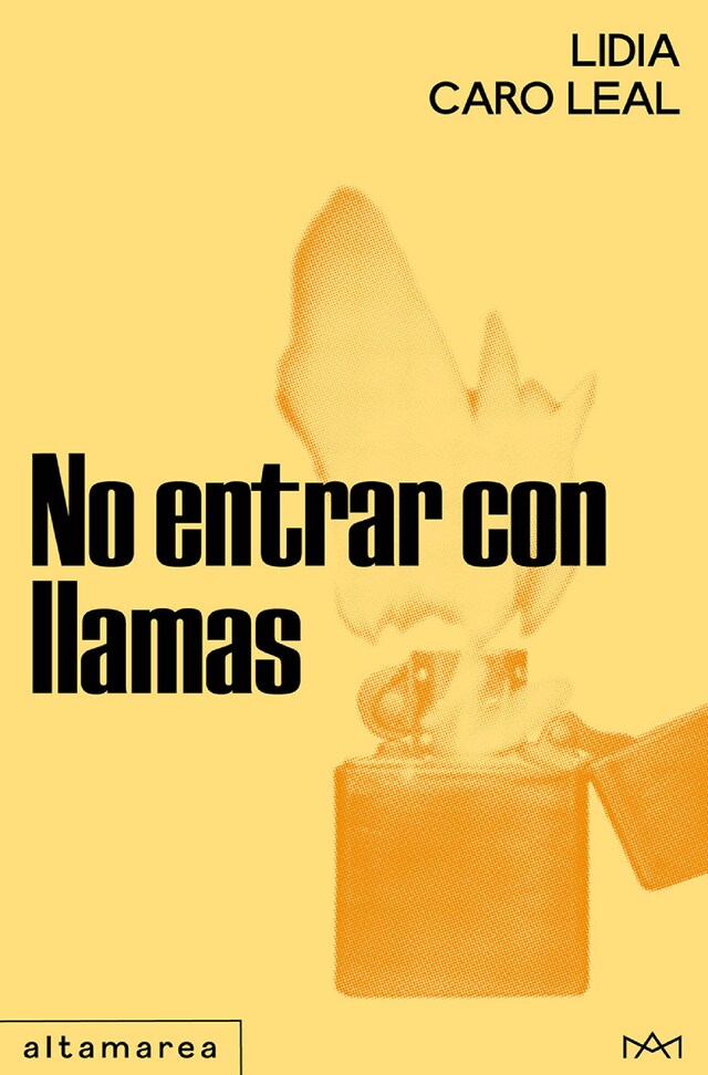 Book cover for No entrar con llamas