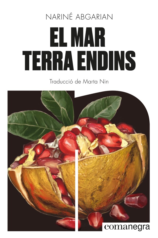 Book cover for El mar terra endins