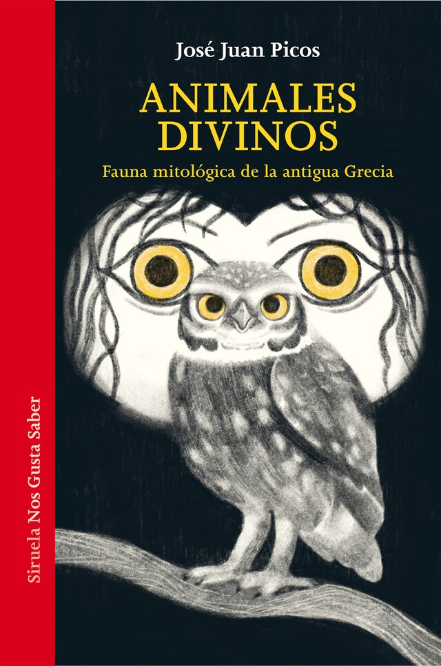 Book cover for Animales divinos