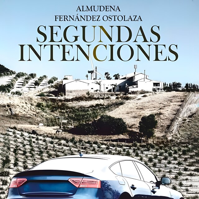 Book cover for Segundas intenciones