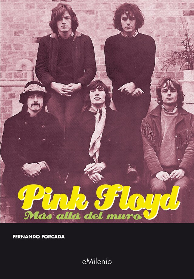 Book cover for Pink Floyd