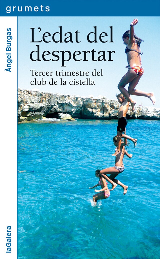 Book cover for L'edat del despertar