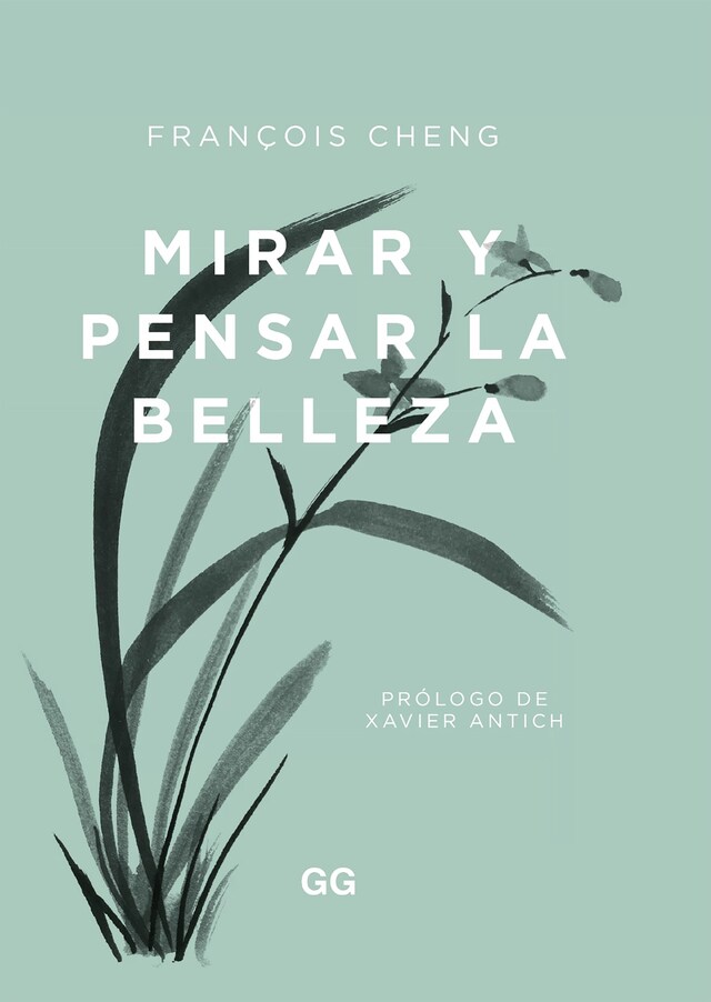 Buchcover für Mirar y pensar la belleza