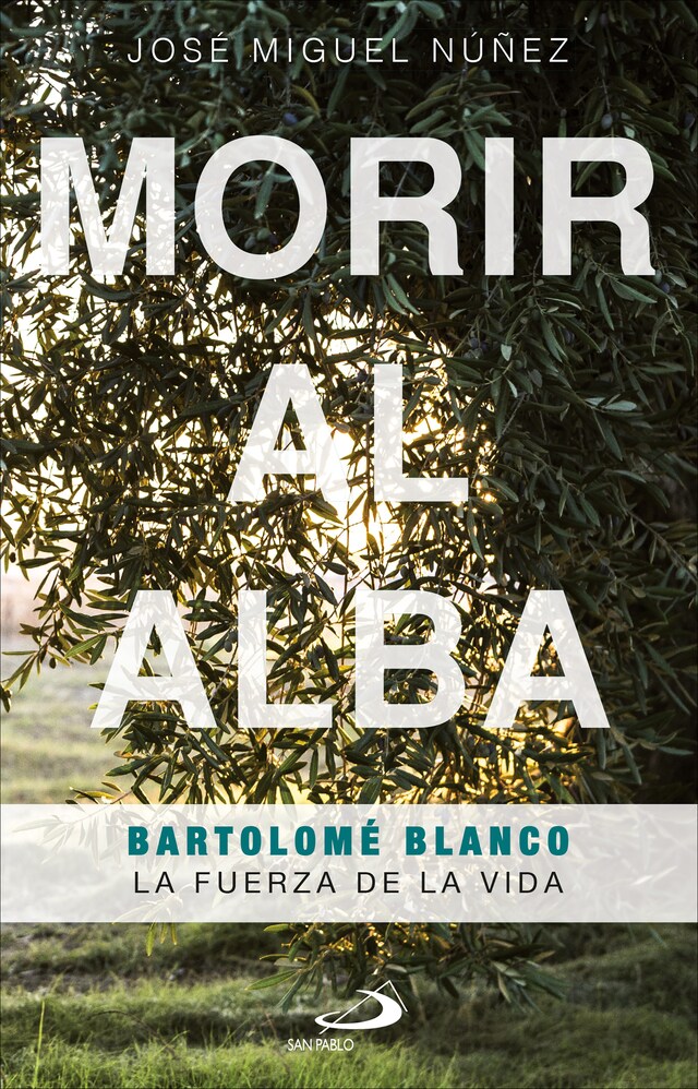 Book cover for Morir al alba