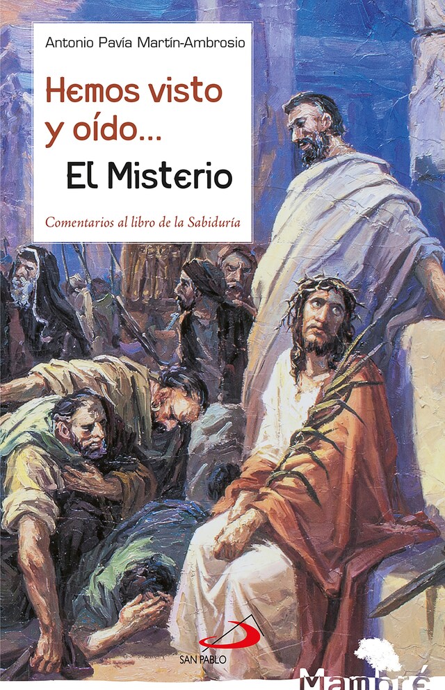 Bokomslag for Hemos visto y oído... El Misterio