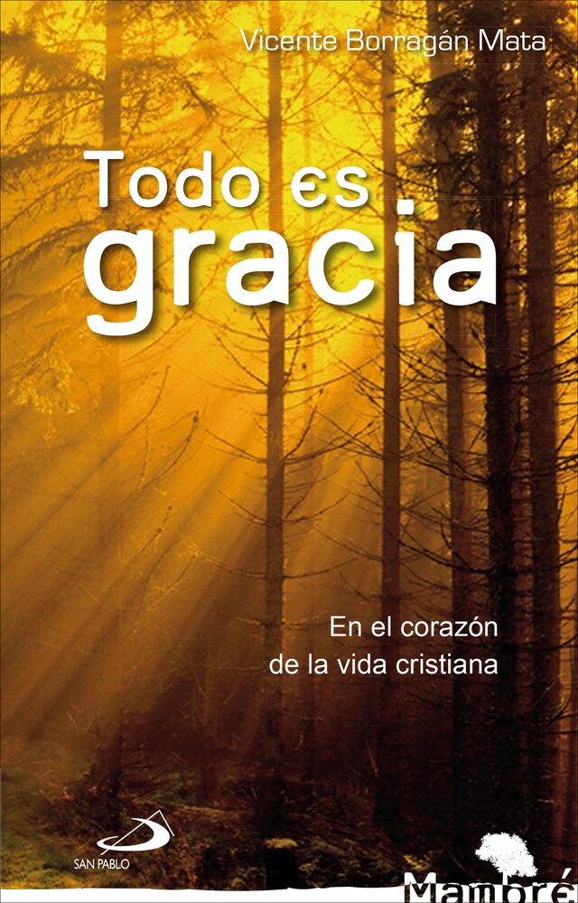 Book cover for Todo es gracia