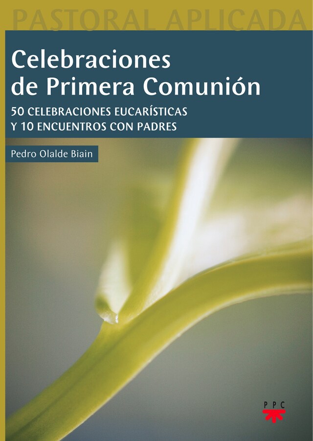 Buchcover für Celebraciones de primera comunión