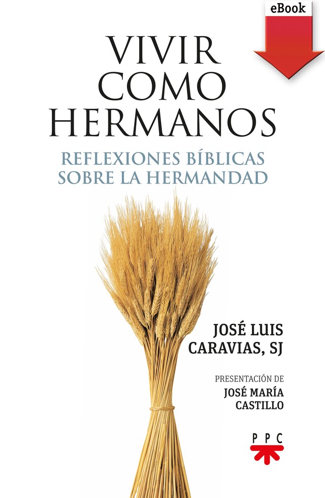 Book cover for Vivir como hermanos