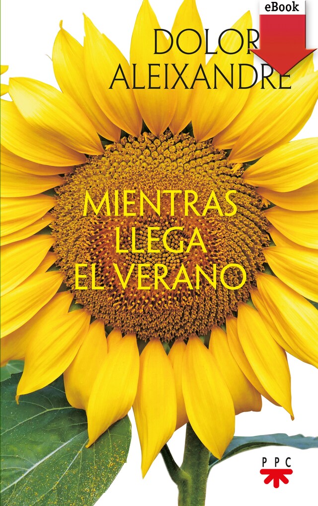 Book cover for Mientras llega el verano