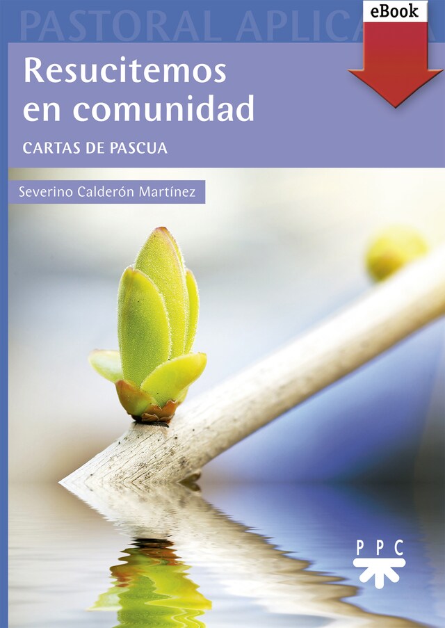 Couverture de livre pour Resucitemos en comunidad