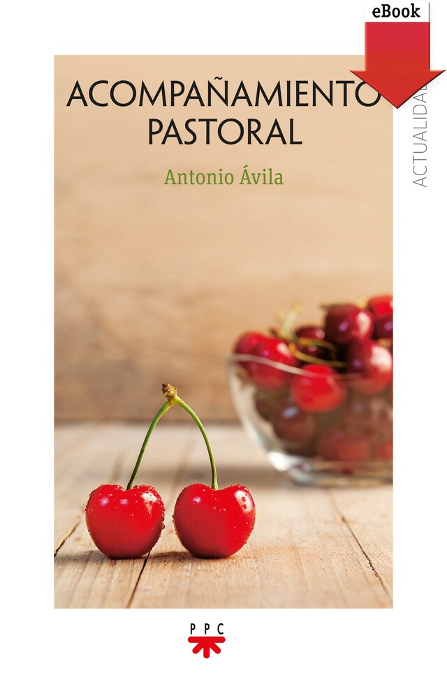 Book cover for Acompañamiento Pastoral